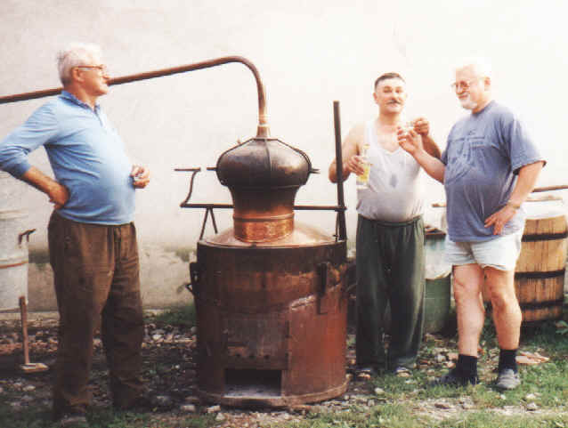 slivo.jpg (31763 Byte)